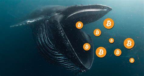 Bitcoin whales panicking? Dumps BTC at massive loss - Cryptopolitan