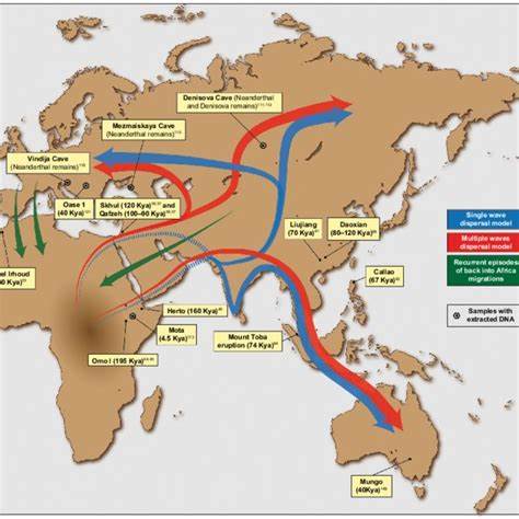 Major expansion in the human niche preceded out of Africa dispersal