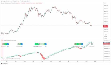 Bitcoin Slips, Miner Capitulation Hints at Market Bottom: QCP - Coinpedia Fintech News