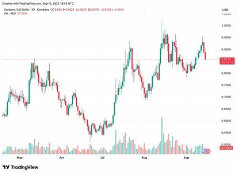 Solana Price Prediction, Latest Cardano News As Remittix Skyrockets On CertiK KYC & Beta Wallet Testing