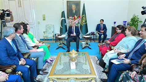 Pakistan Explores Regulatory Framework for Digital Currencies, Says PM Shehbaz
