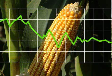 Corn Closes with Wednesday Losses