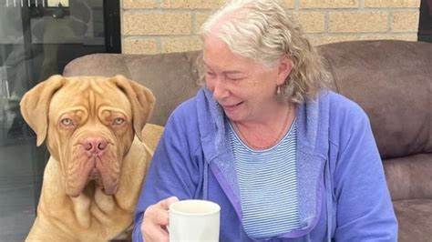 Woman loses life savings to cruel job scam - news.com.au