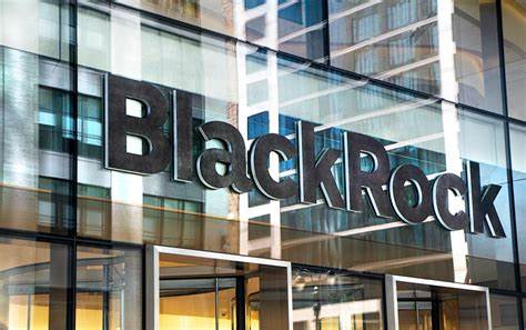 More than 200 S&P 500 companies scrubbed 'diversity' and 'equity' from annual reports in 2025
