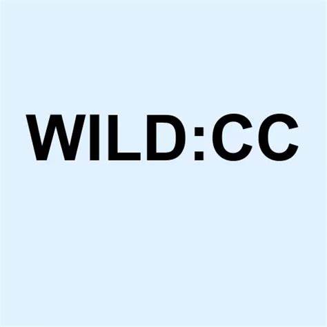 WILDBRAIN REPORTS FULL YEAR AND Q4 2024 RESULTS