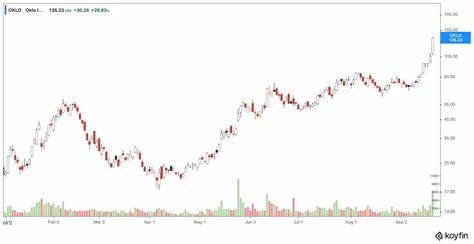 Why Did Oklo Stock Drop Today?