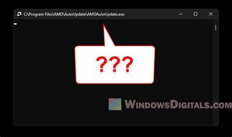 AMDAutoUpdate.exe TLS Bug