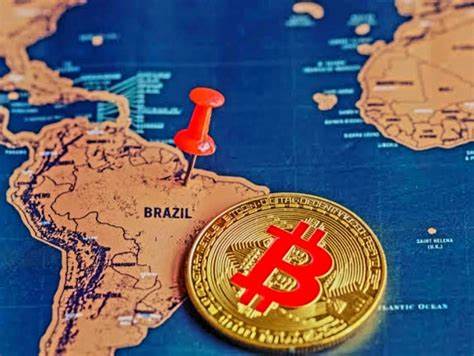 Brazilians see crypto as tool to diversify risks of local stocks, cash - DisruptionBanking