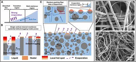 High-flux and stable thin-film evaporation from fiber membranes