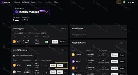 Avalon Labs CeDeFi Lending Reaches Over 30M in Bitcoin-Backed Loans in Just 2 Days - CoinDesk