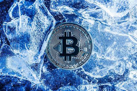 Beginner's Guide on Crypto Winter: How to Invest During Crisis? - Coinspeaker