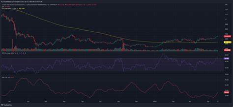 Will the Next Bull Run Crown a New Altcoin King? This $0.005 Token Might Be It