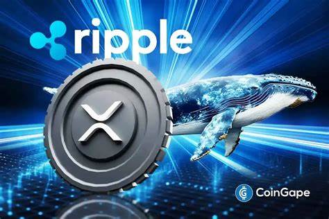 XRP Falls Below $3 as Whale Drops and Network Activity Declines