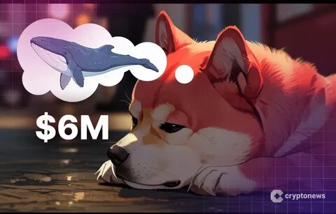 Shiba Inu Price Crashes as $6M Whale Sell-Off Sparks Chaos – Buy the Dip or More Selling to Come? - Cryptonews