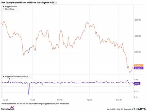 Is Wrapped Bitcoin a Riskier Investment Than Bitcoin? - The Motley Fool