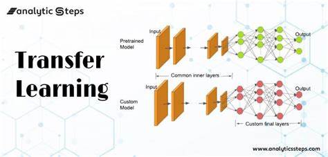 Unlocking the Power of Transfer Learning in Computer Vision: An Overview