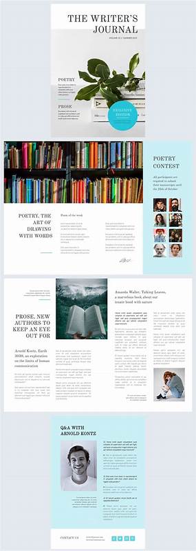A literary magazine accessible only via telnet