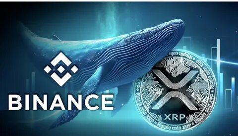 Only 240 Million XRP in 24 Hours: Whales Are Not There - Binance