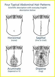 Here are the six most popular pubic hair styles for UK women - Daily Star