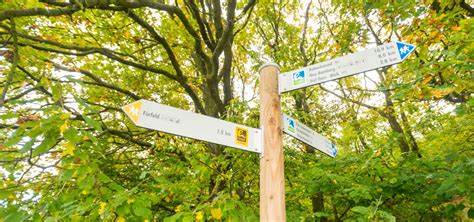 Übersicht der neuen Hiwweltouren - Wandern - Touristik intern - Partner 