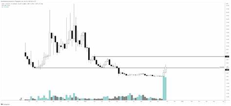 Trader Updates Outlook on Altcoin That’s Exploded Over 23,000% Year-to-Date, Outlines Bullish Target for Bitcoin - The Daily Hodl