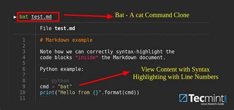 Bat: Cat with Syntax Highlighting