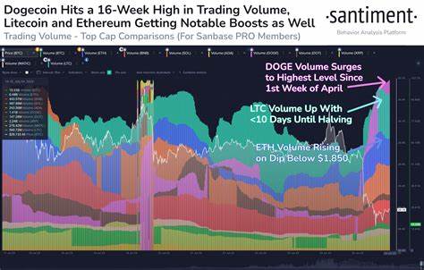 DOGE Volume Spikes 75% Above Average as Traders Defend $0.26 Floor