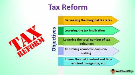 What kind of tax reforms would stimulate growth?