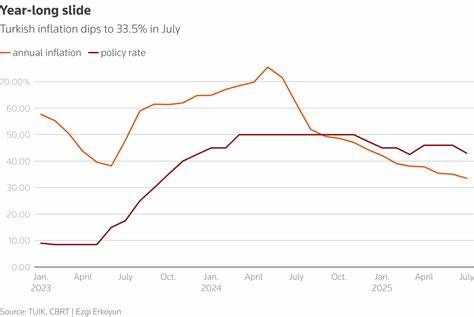 Turkish Inflation Cools, Keeping Central Bank on Course for July Rate Cut