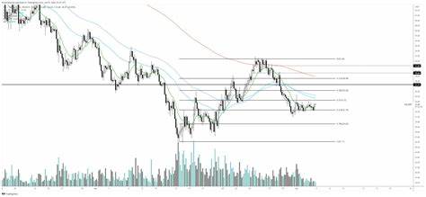 Trader Predicts Corrections for Solana and Additional Ethereum Rival, Updates Outlook on One Dogecoin Competitor - The Daily Hodl