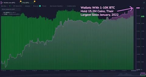 Bitcoin Tests New ATH as Wallets Holding Bitcoin Surge to New Highs; LINK and MOVE Outperform - Bybit Learn