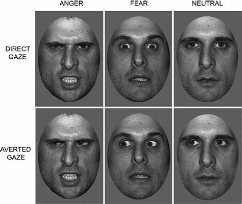 How face-like objects and averted gaze faces orient our attention
