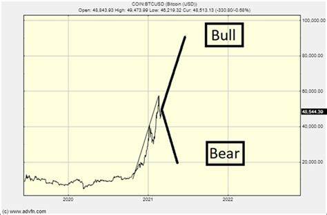 Bitcoin: Bull vs Bear Case