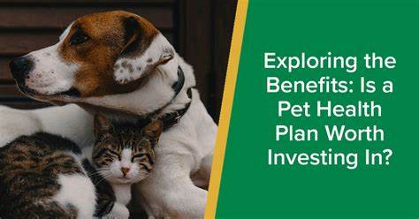 Why a pet wellness plan is worth considering