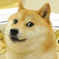 Dogecoin does not need Elon Musk anymore, 3 factors driving DOGE's price rally