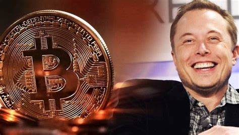 3 Cryptocurrency Options That Elon Musk May Add To X Money - Watcher Guru