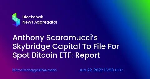 Davos 2023: Scaramucci's SkyBridge bets on $35k bitcoin, targets credit - Reuters