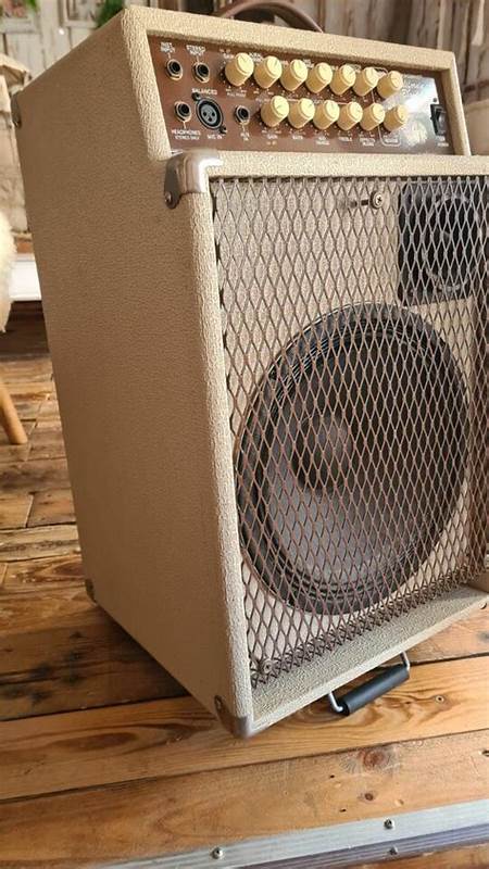 Verstärker für AKUSTISCHE Geige? - Musiker-Board