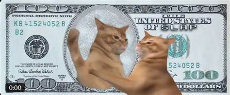 Meme Coin Catslap to Burn $1 Million in Tokens on Friday December 20th, SLAP Price Rise Incoming - Cryptonews
