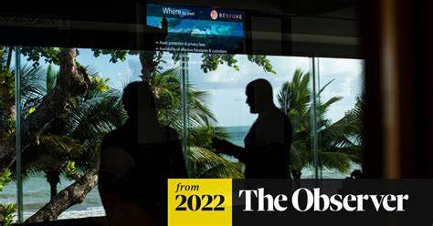 In balmy Puerto Rico, diehards shrug off the crypto winter: ‘We’re not worried’ - The Guardian