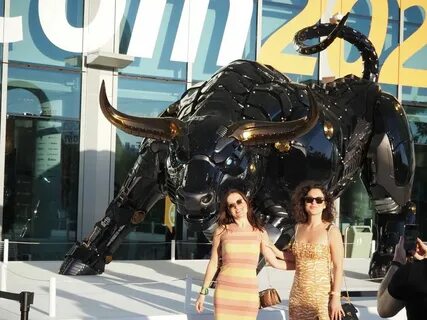 Scenes From Bitcoin Miami 2022: The Stars, the Shows and That Giant Bull - CoinDesk