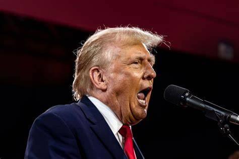 $TRUMP Debunks $300K Myth—A Modest Holding Is Enough to Dine With Trump