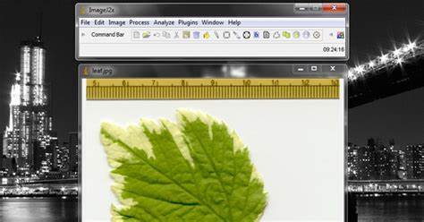 Vintage ImageJ in the Browser