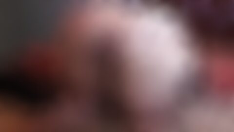 Free Boobs and Ass Porn Videos - xHamster