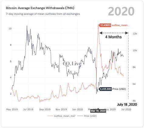 Bitcoin Whales HODL as New Signals Suggest Bull Cycle Is Not Over - BeInCrypto