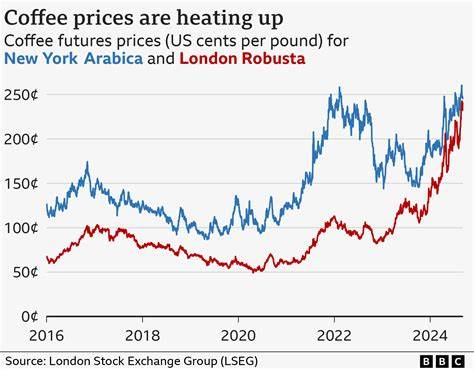 Robusta Coffee Prices Are Still Falling. Are We Finally at an Inflection Point?