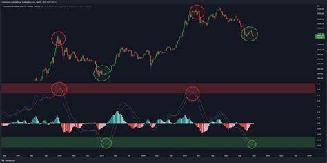 Crypto Rover Identifies Major Buy Signal for Altcoins - Blockchain.News