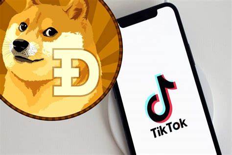 The Dogecoin Challenge Isn’t a "Sure Thing," No Matter What TikTok Says - Distractify