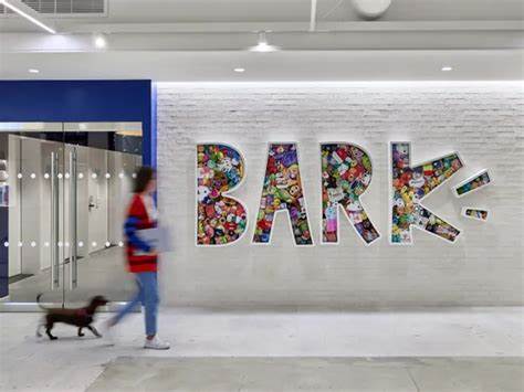 Bark receives second noncompliance warning from NYSE in less than 2 years