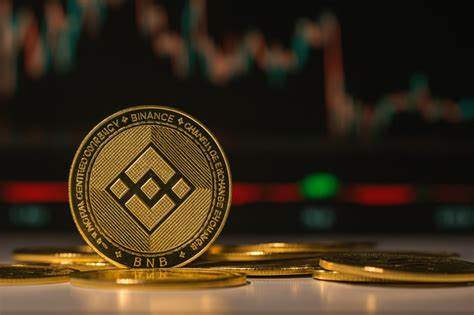 BNB Chain News: BNB Hits ATH as Treasury Companies Expand